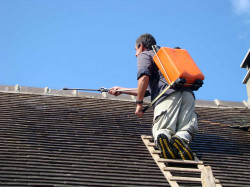 Nettoyage de toiture Larmor-Plage